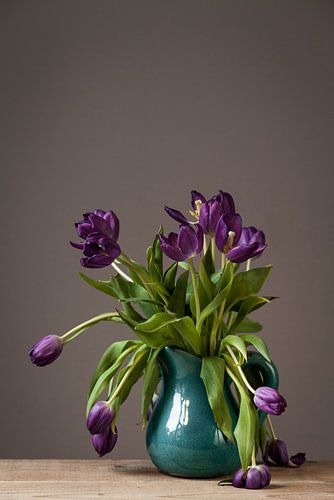 Purple tulips still alive
