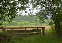 Clôture de terre en bois