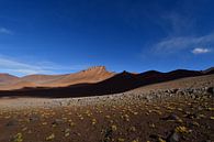 Atacama Desert Chile by Andreas Muth-Hegener thumbnail