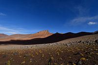Atacama Desert Chile