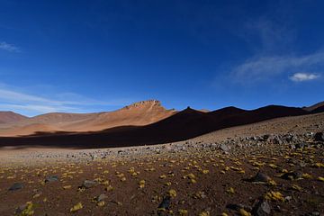 Atacama Desert Chile by Andreas Muth-Hegener
