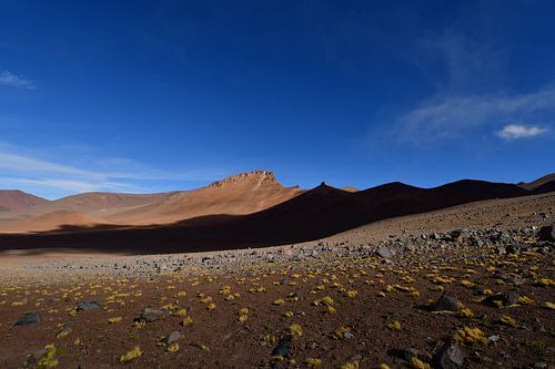 Atacama Wüste Chile