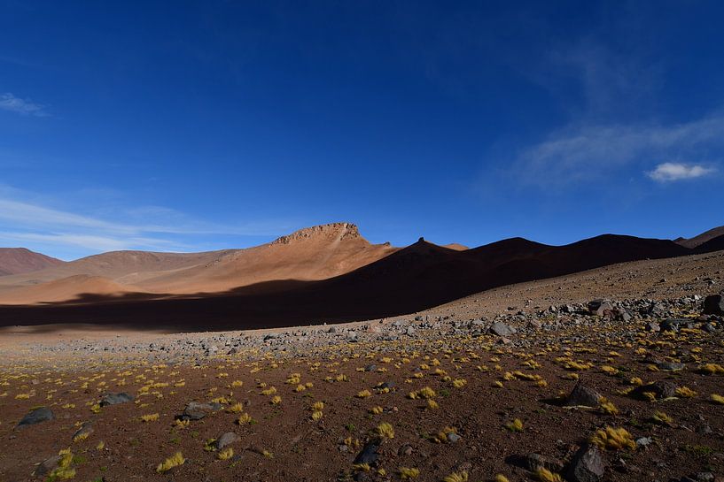 Atacama Desert Chile by Andreas Muth-Hegener