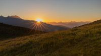 Last rays of sunshine