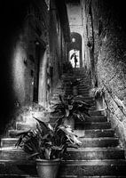Rain in Barga Tuscany