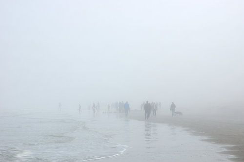 Strandlopers in de mist
