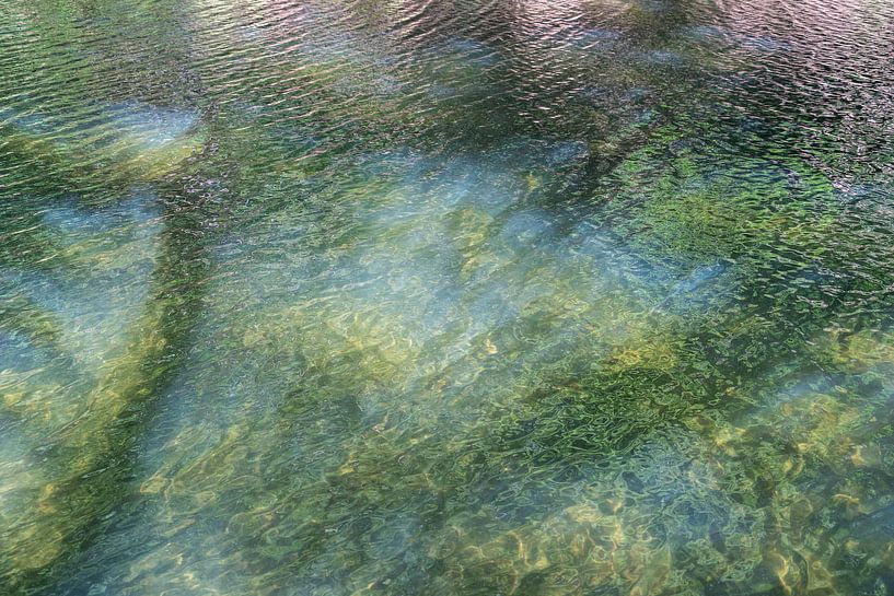 Reflet estival au bord du lac 2 par Adriana Müller