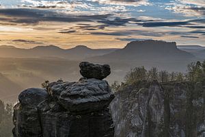 Wehlnadel Sächsische Schweiz