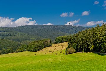 Prachtig landschap bij de Rennsteig/Thüringerwoud van Oliver Hlavaty