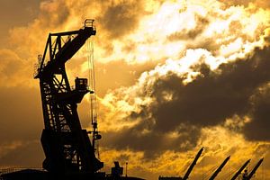 Grue au lever du soleil dans le port de Rotterdam sur Anton de Zeeuw