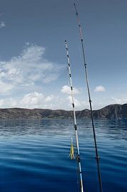 Canne à pêche devant le Cap-Occidental dans le paysage des fjords norvégiens. Scandinavie sur Martin Köbsch