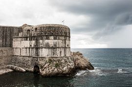 Fort Bokar van Berry Cardol