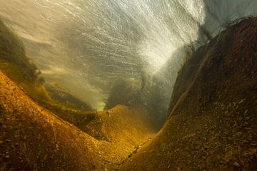 Courant sur la roche sur Matthijs de Vos