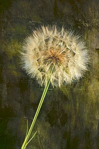 Nature morte avec une fleur. 1