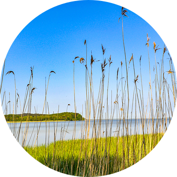 Lagune in Lietzow op het eiland Rügen, natuurlijk strand van GH Foto & Artdesign