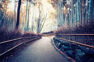 Der Weg im Hain