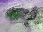 Groen Schildpadje. von Silvia Weenink Miniaturansicht
