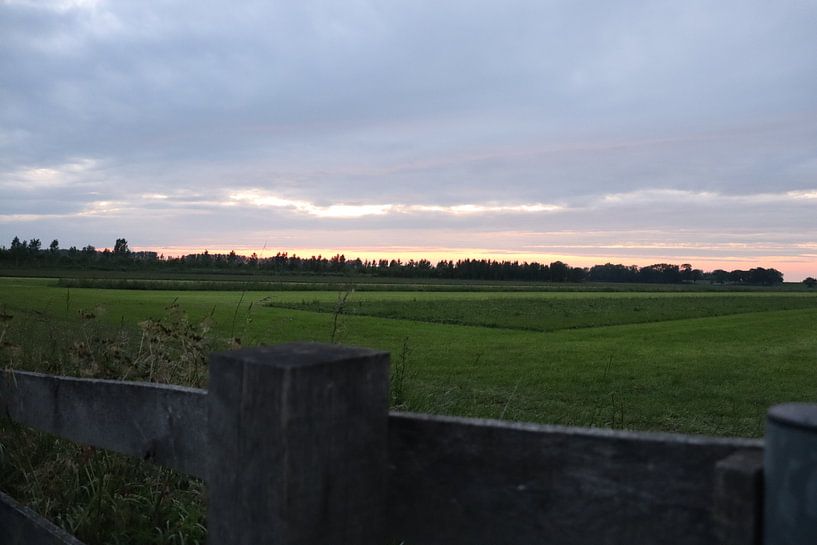 Weiland bij Culemborg van Monica de Roo-Peeters