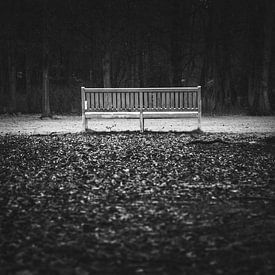 "Emptiness" eine verlassene Bank in einem Wald von Retinas Fotografie