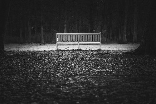 Verlaten bank in het bos – symbool van stilte en leegte