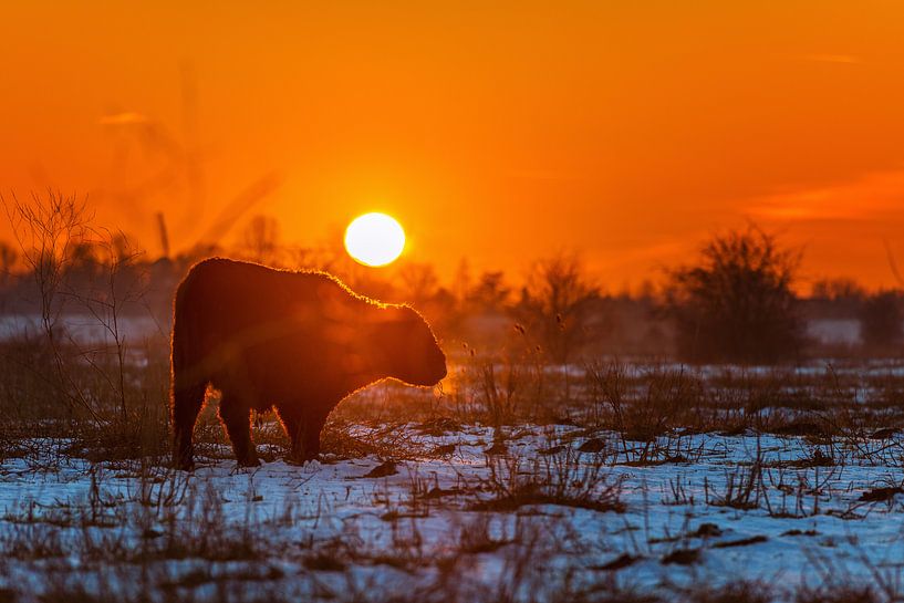 Zonsondergang Blauwe Kamer II van Sander Peters