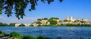 Blick auf Avigon am Fluss Rhone mit der Pont d'Avignon