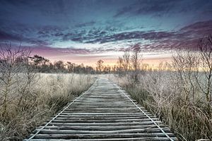 Wintermorgen von Jeroen Mikkers