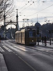 Straßenbahn in Budapest von Ellen Nipshagen