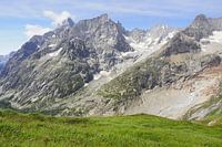 Le TMB autour du Mont-Blanc : un sentier de grande randonnée spectaculaire à travers la France, l'Italie et la Suisse - plein de glaciers, de sommets, de prairies alpines et de moments de montagne grandioses.