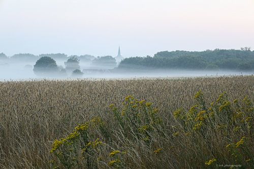 Tau am frühen Morgen