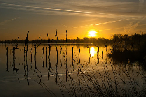 Golden tranquillity by the water