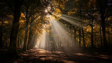 Ein Herbstmorgen... von Peter Korevaar