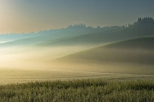 Sunrise in the Crete Senesi