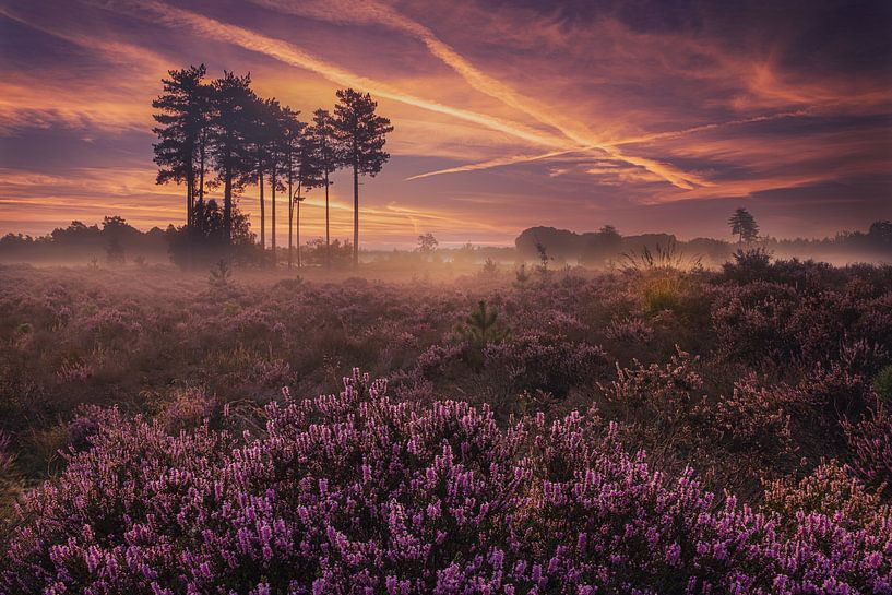 Colour spectacle by Gerard Stasse Fotografie