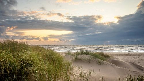 Duinen van Petten aan Zee (Noordzee)