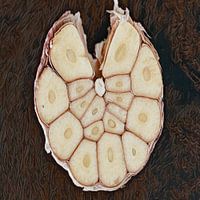 Knoflook