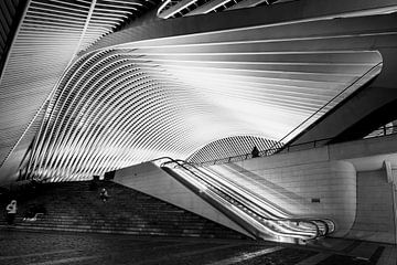 Liege station by Antwan Janssen