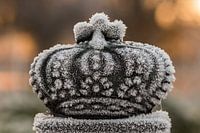 Winter in Holland