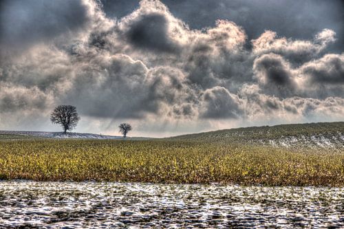 apocalypse, kollenberg