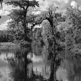 Een fascinerend rivierlandschap - Wakulla Springs van Christiane Schulze
