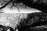 Angels Window, Grand Canyon von Gerben Tiemens Miniaturansicht