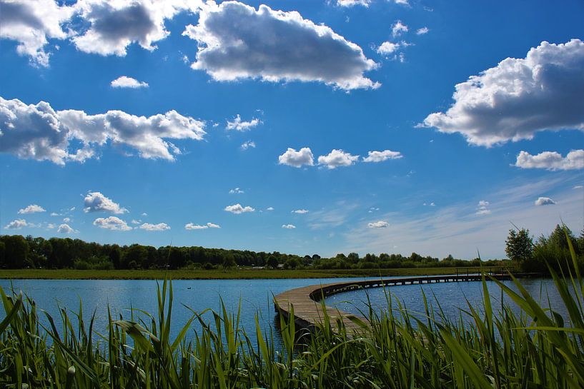 Holländischer Garten von Pieter Voogt