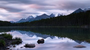 Herbert Lake, Icefield Parkway, Banff National Park, Alberta, Canada. van Alexander Ludwig