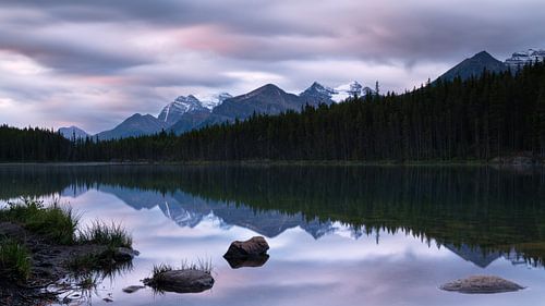 Herbert Lake, Icefield Parkway, Banff National Park, Alberta, Canada.