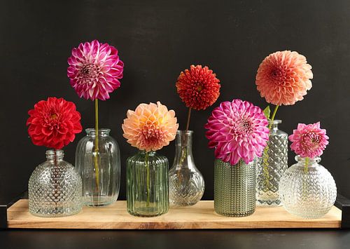 Dahlien's auf Vase - Schwarz