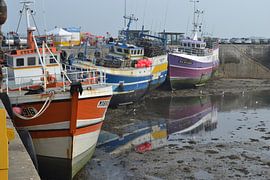 Roscoff, in the harbor