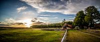 Schaapskooi Sunset (Ginkelse Heide) van Joram Janssen thumbnail