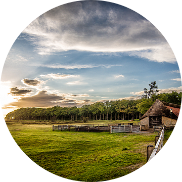 Schaapskooi Sunset (Ginkelse Heide) van Joram Janssen