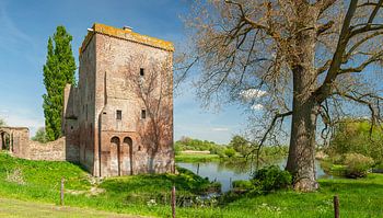 Donjon Nijenbeek - 1