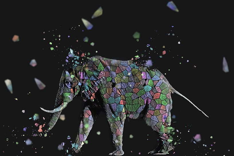 La mosaique de l'éléphant by Catherine Fortin